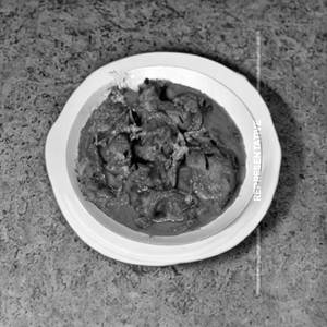 Chicken Tiranga