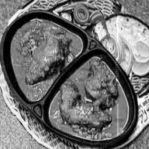 Chicken Noorani