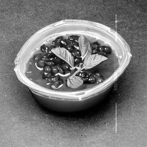 Fresh Jamun Juice