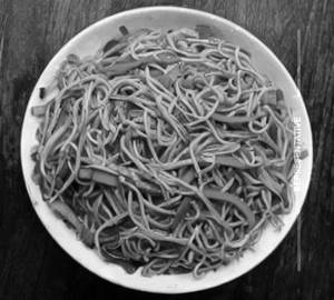 Vegetable Hakka Noodles