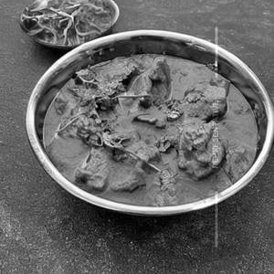 Murg Handi