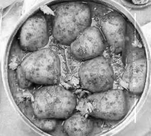 Kashmir Aloo Dum