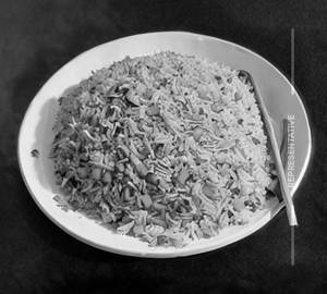 Chicken Fried Rice                                                           