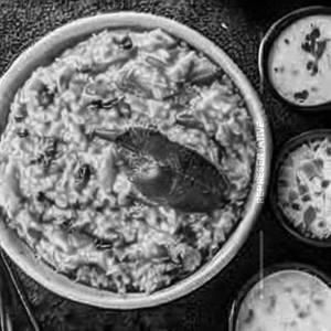 Curd Rice