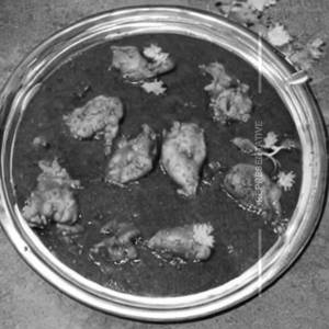 Chicken Dehati Boiler