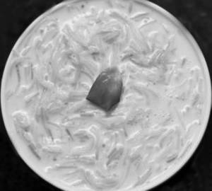 Sevai Kheer [250 Gms]