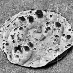 Tandoori Paratha