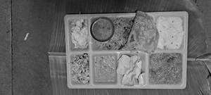 Mini Meals