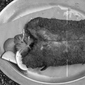 Fish Fry