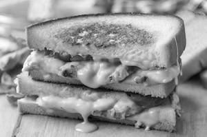 Grilled Chicken Cheese Sandwich