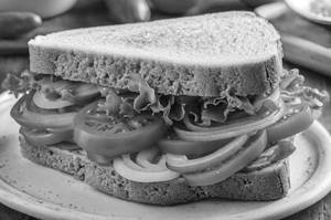 Veg Sandwich