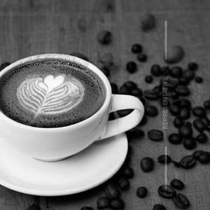 Hot Coffee