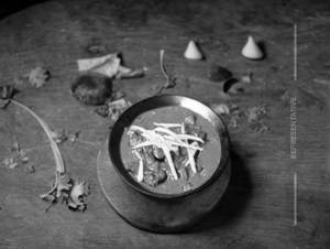 Mushroom Masala