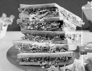 Mexican Sandwich