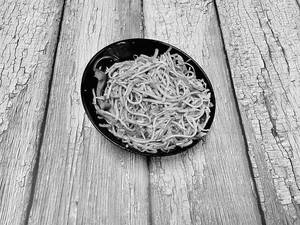 Veg Noodles