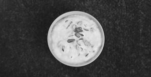 Kheer