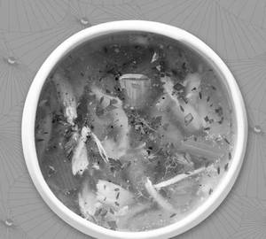 Chicken Soup
