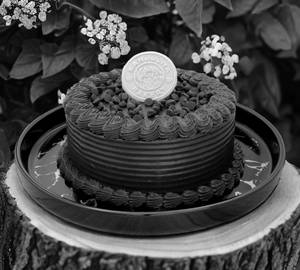 Chocolate Truffle Cake