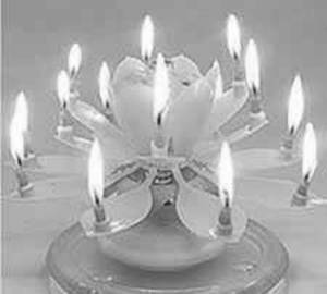 Moving Melody Flower Candles