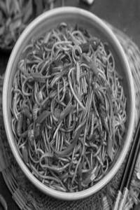 Hot Chilli Garlic Noodles