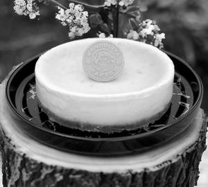 Plain Cheesecake