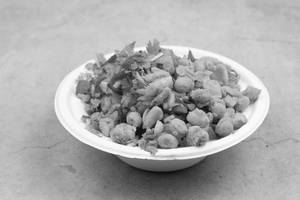 Peanut Pauva