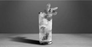 Mint Mojito