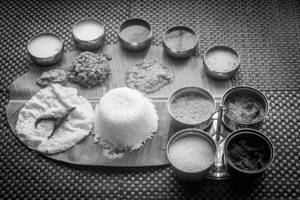 Andhra Veg Mini Meals