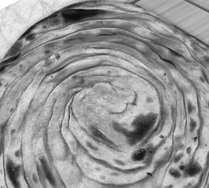 Lachha Paratha