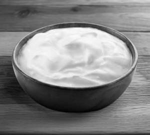 Plain Curd