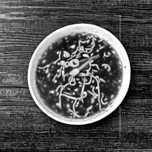 Chicken Manchow Soup 