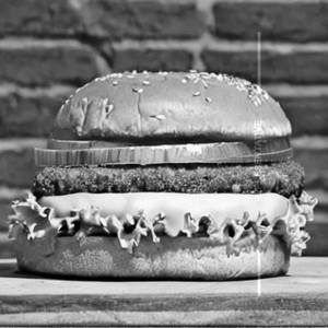Herb Patty Burger