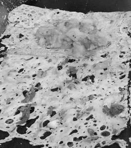 Onion Rawa Masala Dosa