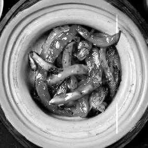 Veg Pepper Salt Dry