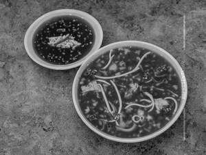 Lung Fung Soup