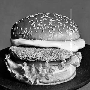 Chicken Burger       
