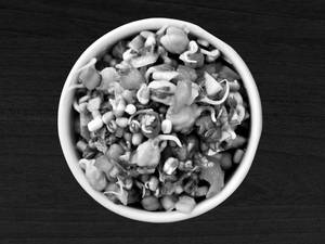 Classic Sprout Salad