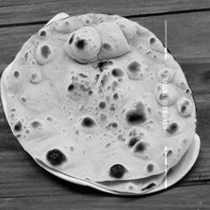 Roti