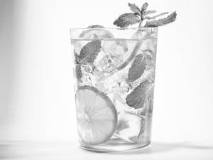 Mint Mojito
