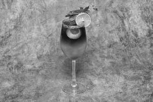 The Classic Mojito
