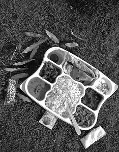 South Indian Meal Box