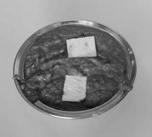 Khoya Paneer