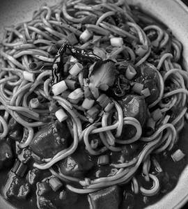 Paneer Hakka Noodles Gravy