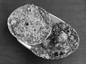Pudina Parota