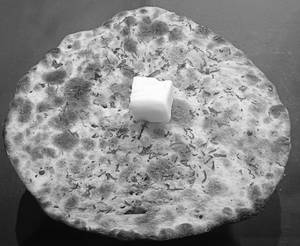 Mm's Special Amritsari Kulcha