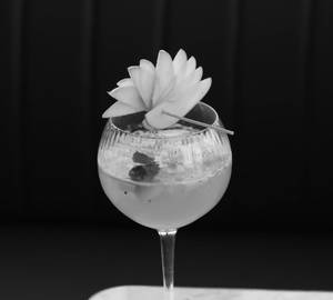 Kiwi & Apple Spritzer