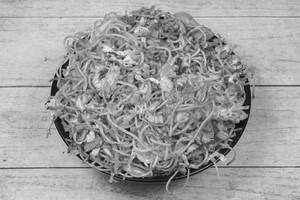 Chicken Schezwan Noodles