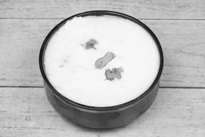 Plain Curd