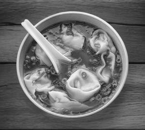 Chicken wanton soup