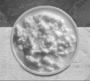 Dahi Plain